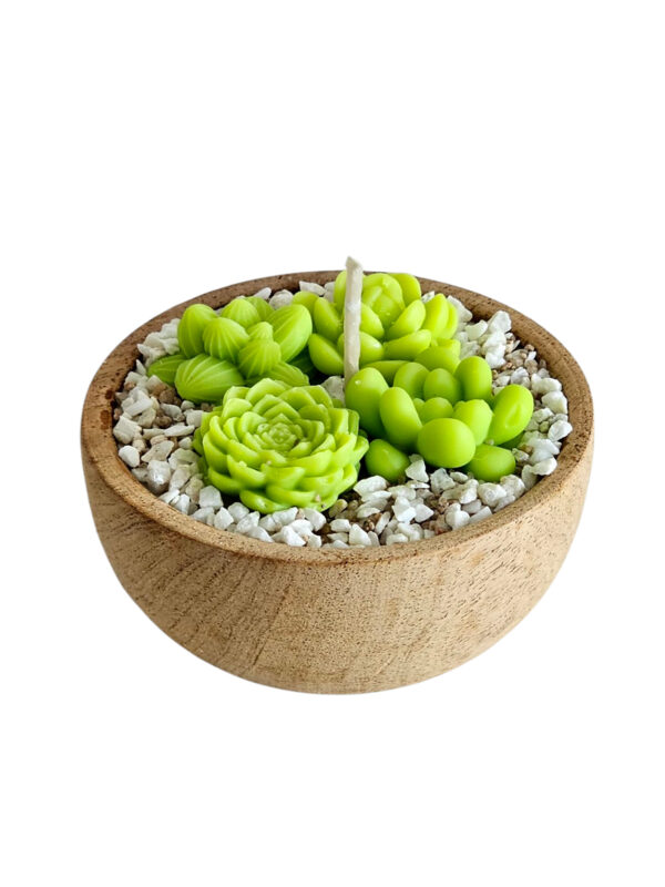 Vela de Soja - Cuenco 10 Cms. Premier - Mini Suculentas