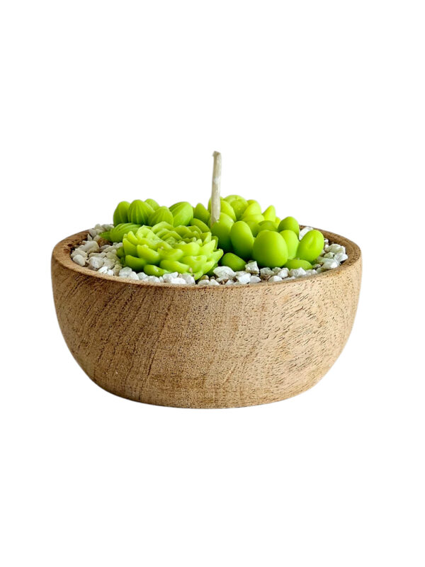 Vela de Soja - Cuenco 10 Cms. Premier - Mini Suculentas - Imagen 5