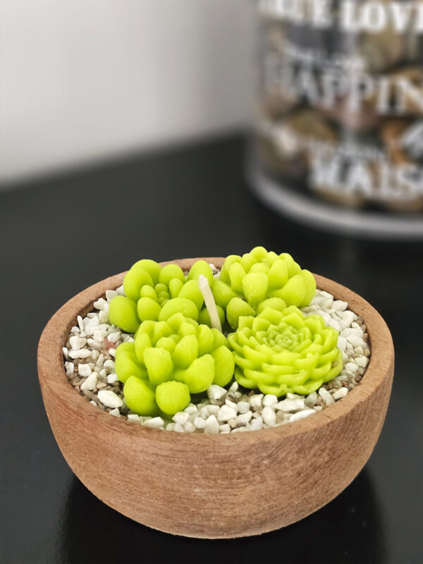 Vela de Soja - Cuenco 10 Cms. Premier - Mini Suculentas - Imagen 2
