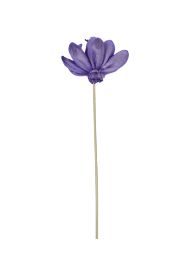 Varillas Rattan Flor de Loto