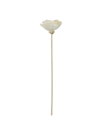Varillas Rattan Flor Camelia Chica