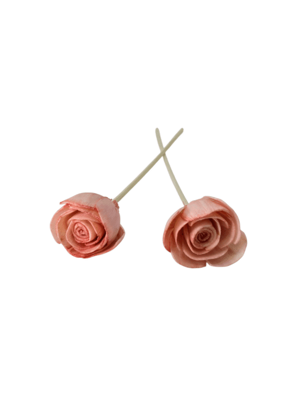 Varillas Rattan Rosa Grande Rosa - Imagen 2